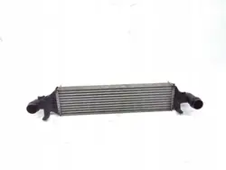 Intercooler OEM A2465000100 för Mercedes W176 W246
