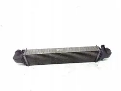 Intercooler OEM A2465000100 voor Mercedes W176 W246
