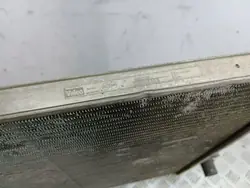 Wasserkühler Peugeot 307 2002 OEM 9647421380