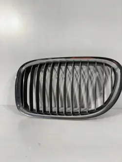 Rejilla Riñón Izquierda BMW 7211657 para F01-F04