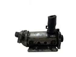 ENFRIADOR EGR RENAULT SCENIC II 2.0 DCI 8200505409