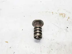 Válvula de Controle do Eixo de Comando Audi Volkswagen Seat Skoda TFSI