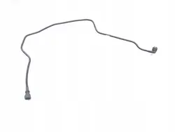 Manguera de radiador Ford Ranger 3.2 TDdi 4x4 Diesel 2019 OEM