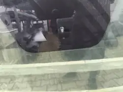 Vindruta OEM 77776654 med Kamera & Sensor