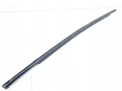 Ford Mustang Mach-E Türfensterleiste Rechts Vorne OEM LJ8BR20562