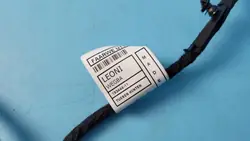 Faisceau Portière Arrière Gauche BMW X1 U11 OEM 9224365