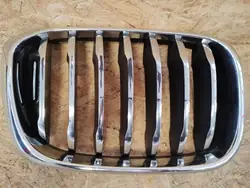 Griglia renale destra BMW X3 G01 X4 G02 7478670