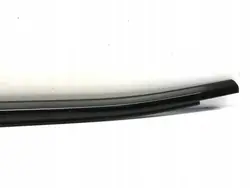 Racleur Porte Arrière Gauche BMW IX (I20) OEM 8491347