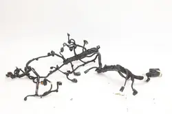 Harness Motor Opel OEM 9812022780 - Usado