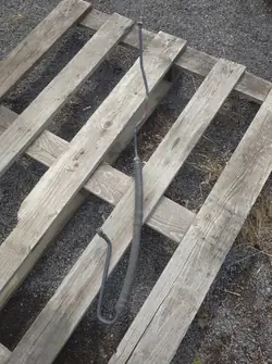 Stuurhuisleiding TRW Skoda Fabia 1.2 1999- 6Q1423893Q