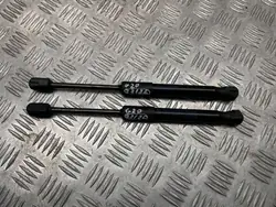 OEM 7419387 BMW 3 G20 Amortecedor Capo Completo