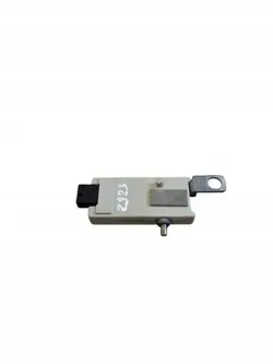 Antennenverstärker OEM 25769453 für Cadillac CTS 2009