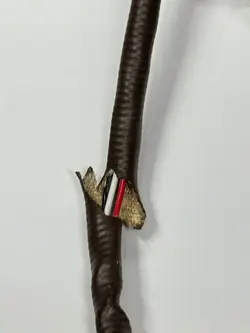 Sonde lambda OEM 0095425818 pour Mercedes