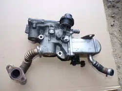 Käytetty EGR-jäähdytin OEM H8200804050 Renault