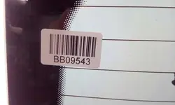 Vitre arrière chauffée OEM 8576BGPRAW pour VW Touareg