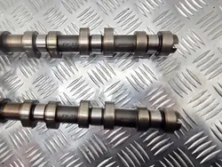 Conjunto de árvores de cames OEM 55355467 para Opel Astra G 1.4 16V