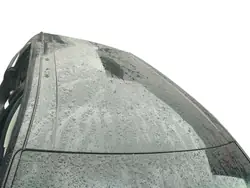 Dak DACH FORD EDGE II MK2 - OEM Gebruikt Onderdeel