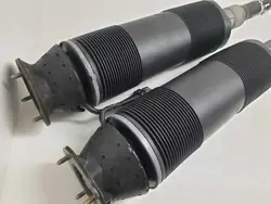 Amortiguador trasero MERCEDES W220 215 A2203209113