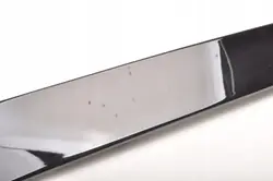 OEM 31688696 Türleiste Hinten Rechts für Volvo XC90 II