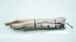Begagnad höger krockkuddesgardin OEM 5JA880742 Seat Toledo IV