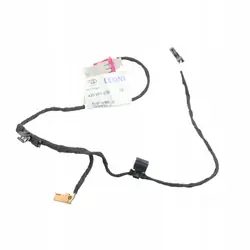 Harness Cabo Porta Audi R8 OEM 420971036 Dianteira Direita