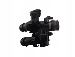 Corpo de borboleta Citroen Xsara Picasso