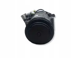Compresseur AC Skoda OEM 6Q0820808C pour Fabia MK2 1.4