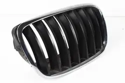 Griglia destra BMW X5 E70 X6 E71 7157688