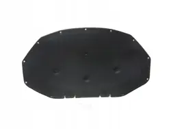 Isolamento capô BMW OEM 51489175051 para X3 X4
