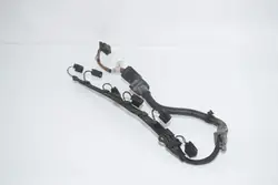 Faisceau d'injecteurs BMW X5 E70 7808243