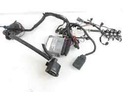 Kit LPG Prins OEM 67R010098 - ECM VSI-4 Keihin