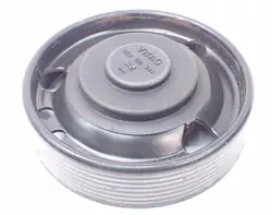 Polea de Bomba 021121031D Audi Q7 4L 3.6 FSI