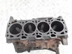 Moteur Fiat 1.6 MultiJet OEM 198A3000 - Occasion