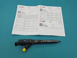 Injector testado OEM 0445110273 para Fiat Ducato 2.3 JTD