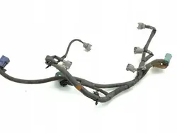 Mazo inyector Nissan 350Z 2004 OEM AMD191126