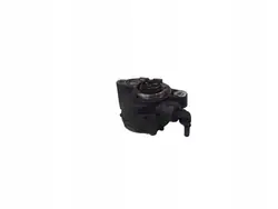 Vacuum Pomp Citroen C4 I Picasso