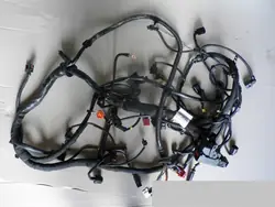 Motor-Kabelbaum VW Touareg OEM 7P6972610D - Gebraucht
