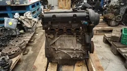 Motor Ford SNJA 1.25 16V para Fiesta MK7 - Usado
