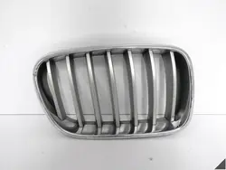 BMW X3 F25 10-14 Front Right Grill Insert