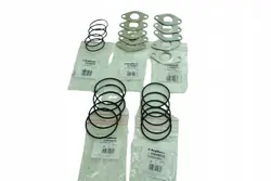 Käytetty BorgWarner (Wahler) tiiviste OEM 665574D