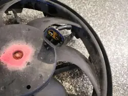 Framre rem OEM 1494742080 för Peugeot Expert