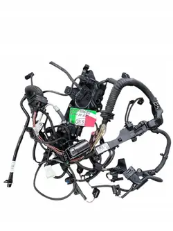 Moottorin Johdotus OEM 8507206 BMW X1 E84 2.0 D