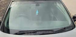 Pare-brise avant BMW OE SZYBA CZOŁOWA C75 d'occasion