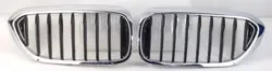BMW 5 G30 G31 Kidney Grilles Original Complete Left Right