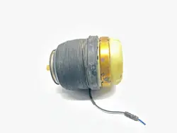 Airbag trasero Audi A6 Allroad C6 OEM 308611601