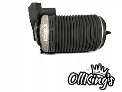 Borsa di Sospensione Pneumatica Posteriore Sinistra Audi A6 C7 4G0616001T