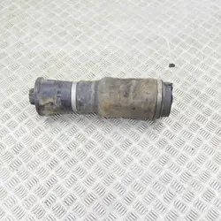 Amortecedor suspensão traseiro direito OEM 310716401