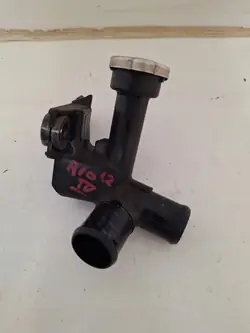 KIA RIO IV 1.2 2017- Kühlerschlauchverbinder OEM