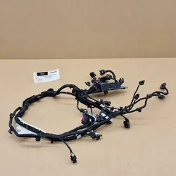 Moottorin Johdotus OEM A2541509501 Mercedes