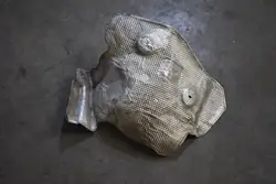 Escudo térmico BMW X7 G07 OEM 7427213 5555